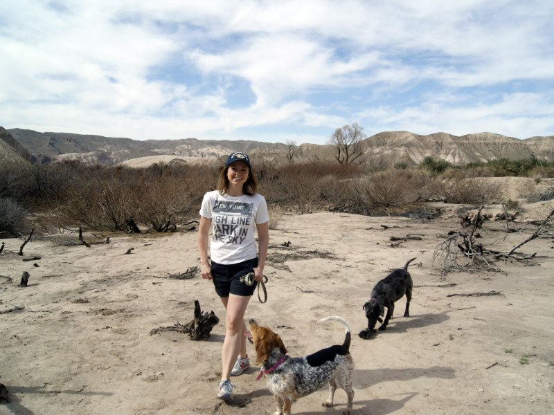 China Ranch Date Farm Day trips from Las Vegas