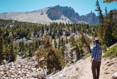 Hiking in Great Basin National Park. Great Basin National Park: The Best Things to Do | Get more travel inspiration at www.youfoundsarah.com