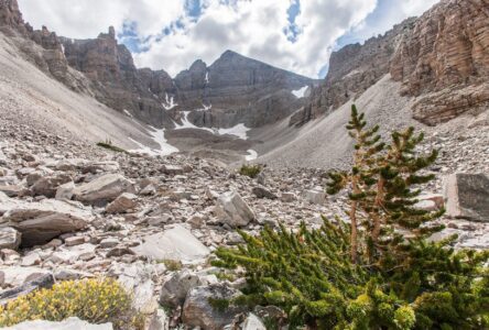 Great Basin National Park: The Best Things to Do | Get more travel inspiration at www.youfoundsarah.com