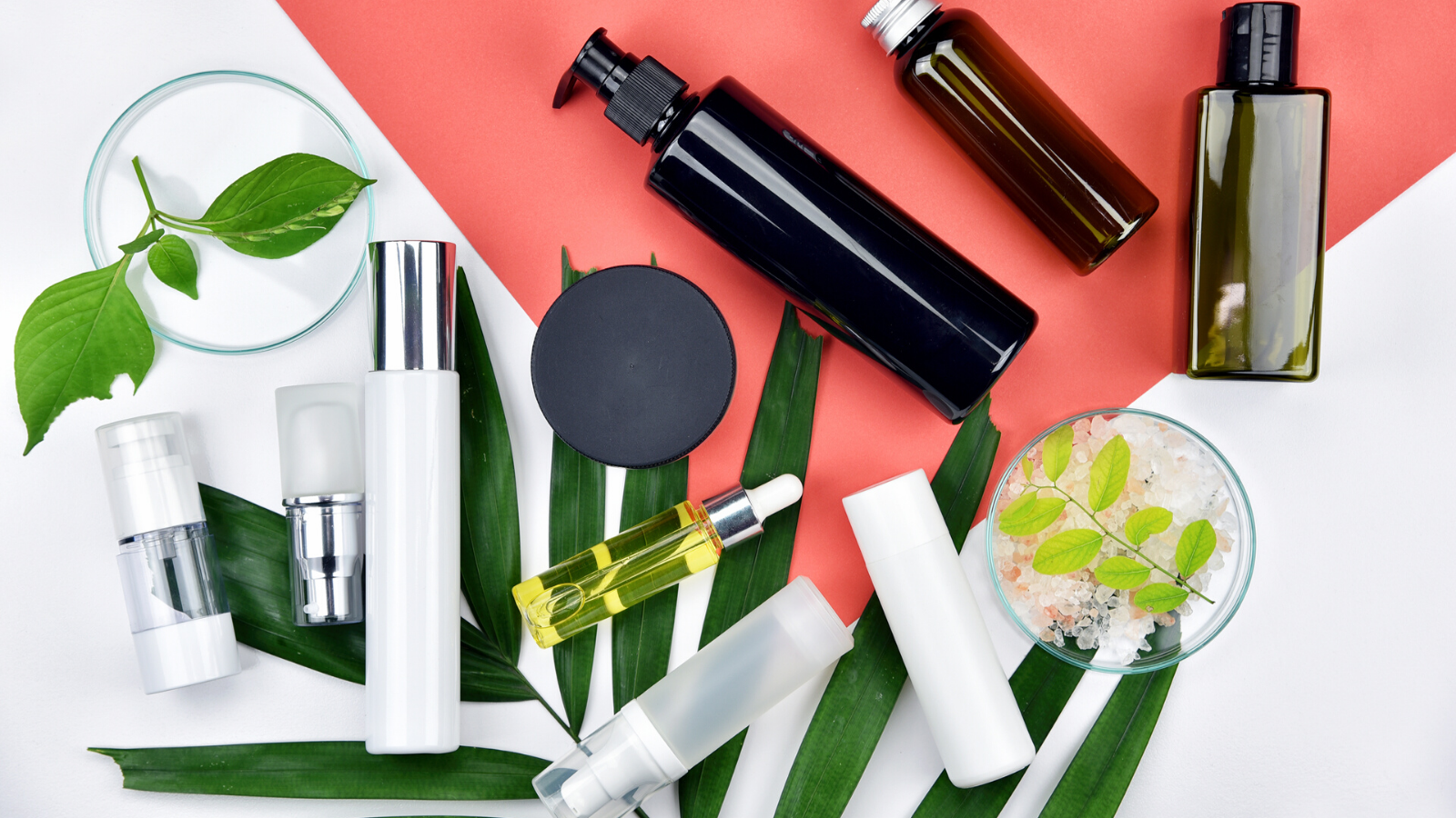 The 20+ Best Japanese Drugstore Beauty Products