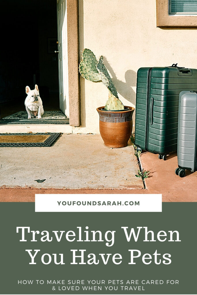 There are several options when it comes to finding a loving, safe, and fun environment for pet while you travel. Here are the 5 most common. #dogmom #puppy #newpuppy #rescuedog #travel