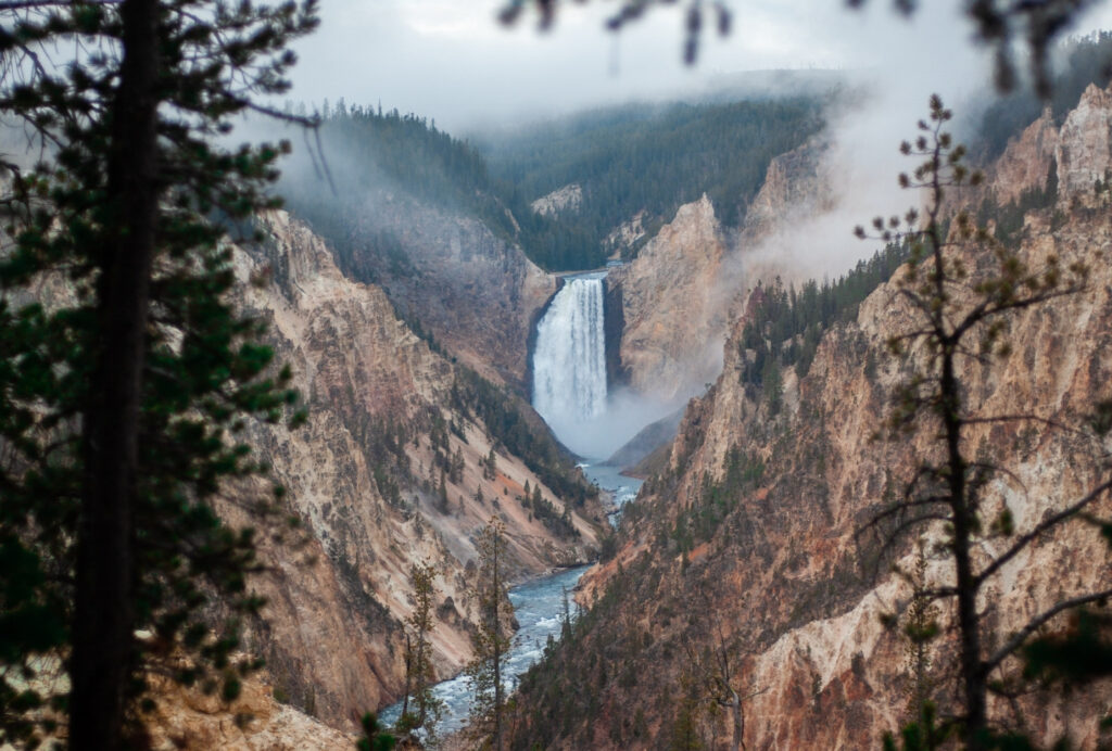 Grand canyon of Yellowstone from Artists Point