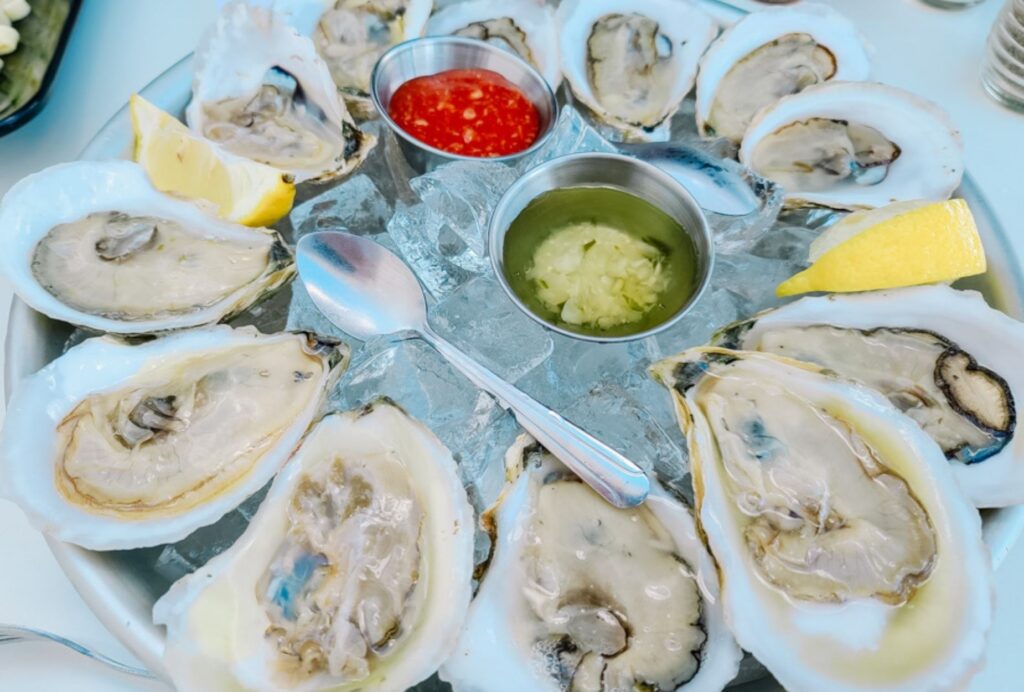 Fresh raw oysters!