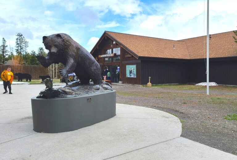 5 Reasons to Visit the Grizzly & Wolf Discovery Center - YouFoundSarah