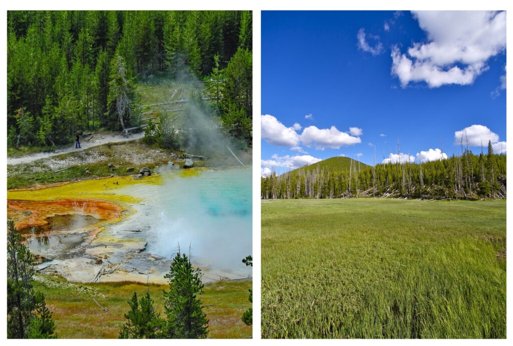 Imperial Geyser and Sentinel Meadow